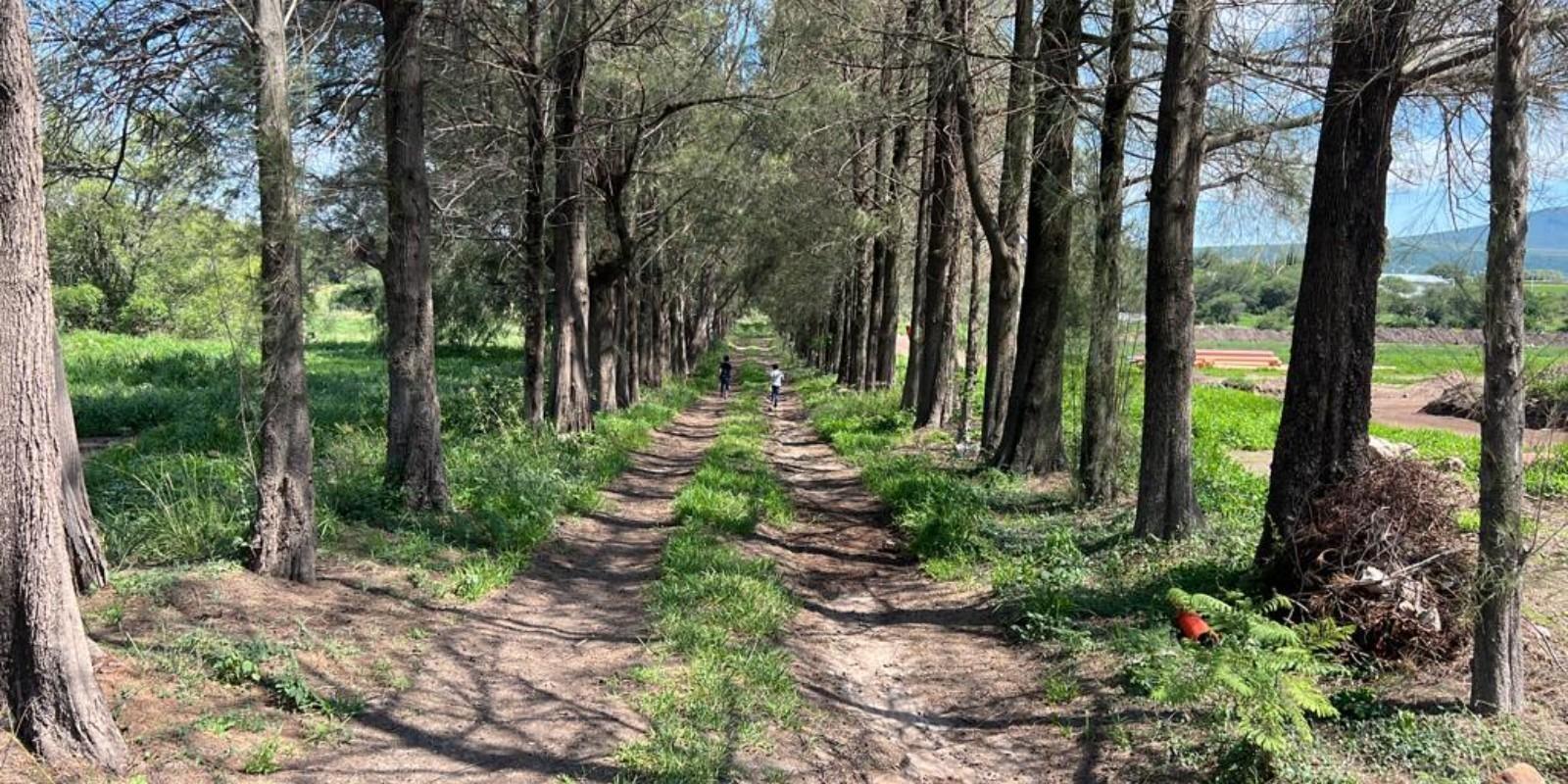 Invertir en Terrenos: Oportunidades y Tendencias Clave